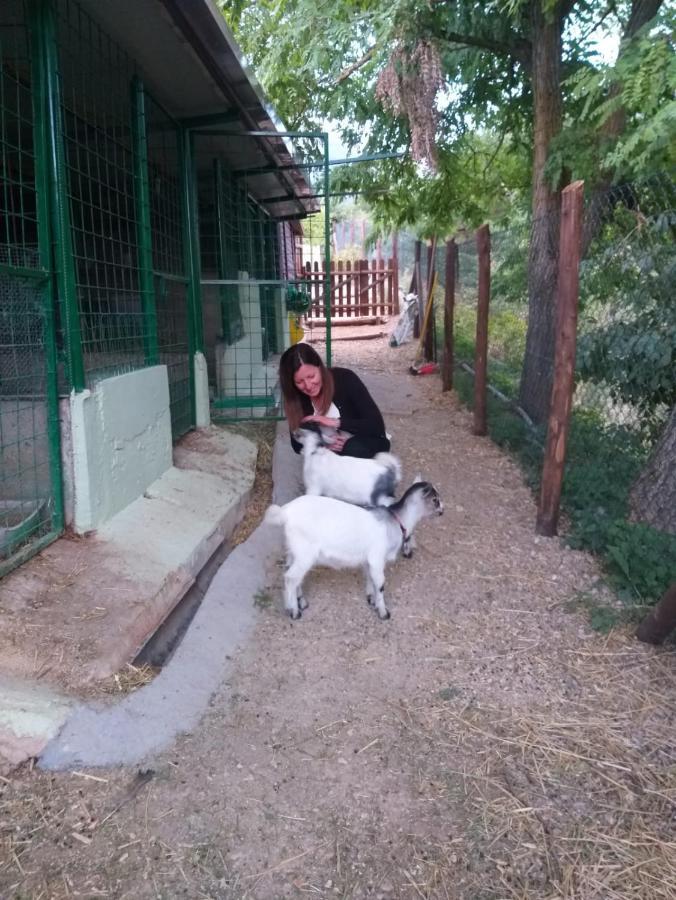 נורצ'יה B&B Fonte Vena מראה חיצוני תמונה